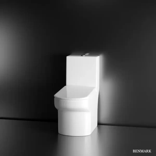 Nova One-Piece Rimless S-Trap Siphonic Western Toilet / Commode