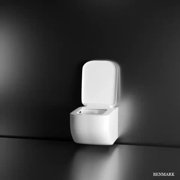 Risa Wall-Hung Rimless P-Trap Western Toilet / Commode (White)